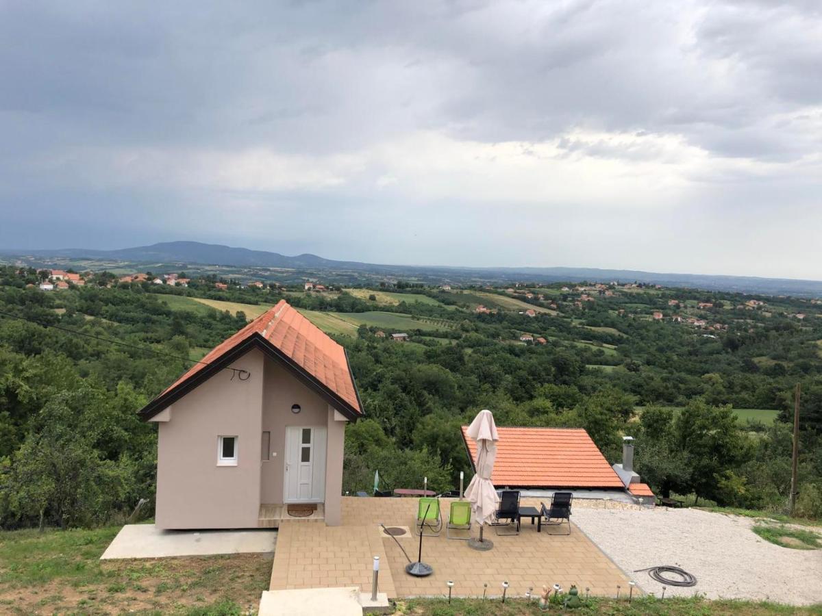 Vila Pogled Arandjelovac Exterior photo